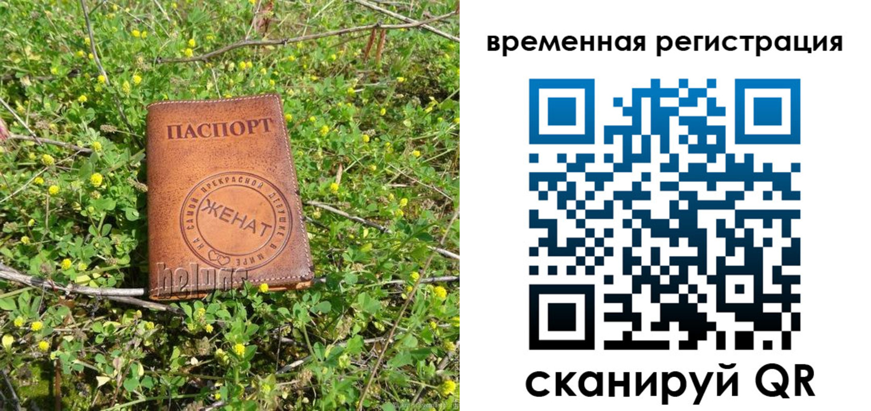 прописка регистрация в Николаевске-на-Амуре
